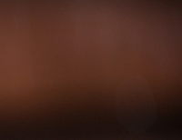 Photographs will be added to this gallery very soon